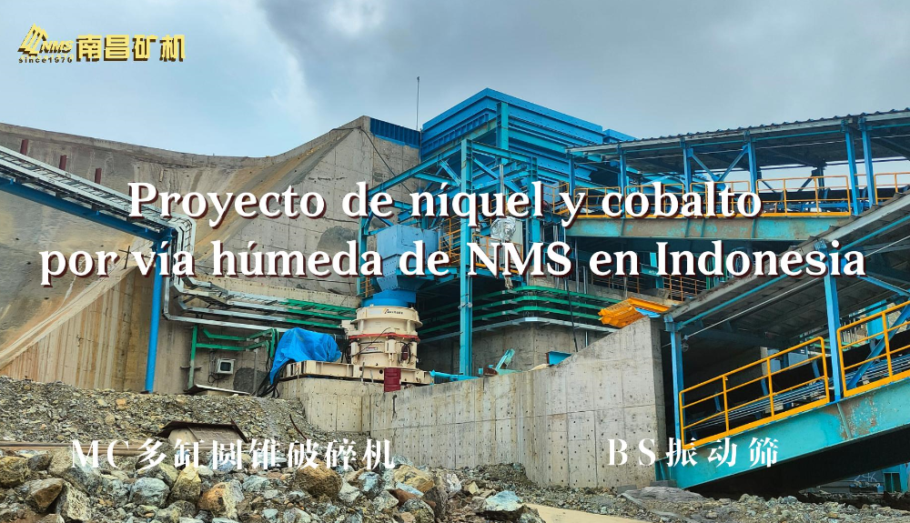 Proyecto de níquel y cobalto por vía húmeda de NMS en Indonesia
