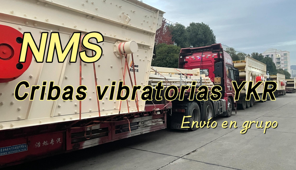 Las cribas vibratorias YKR de NMS se envía en grupo