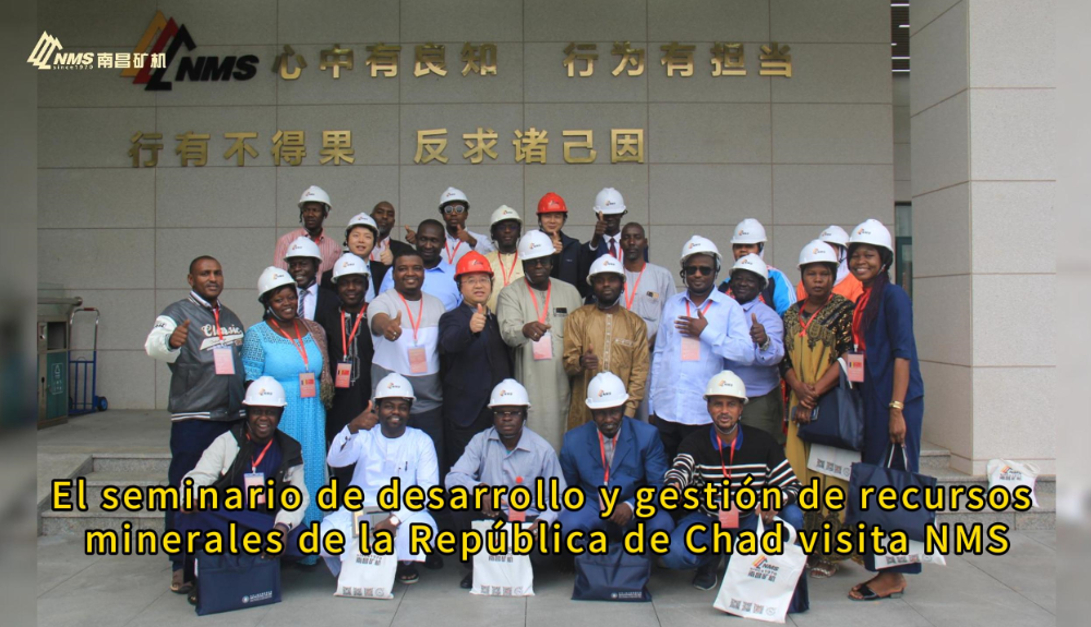 El seminario de desarrollo y gestión de recursos minerales de la República de Chad visita NMS