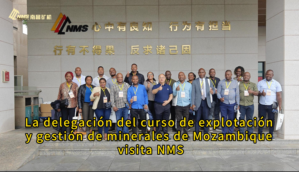 La delegación del curso de explotación y gestión de minerales de Mozambique visita NMS