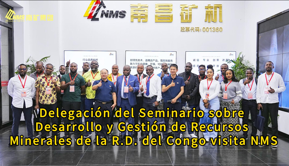 Delegación del Seminario sobre Desarrollo y Gestión de Recursos Minerales de la R.D. del Congo visita NMS