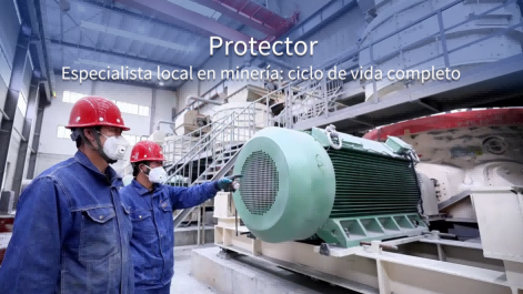 Protector | Donde la operación no se detiene